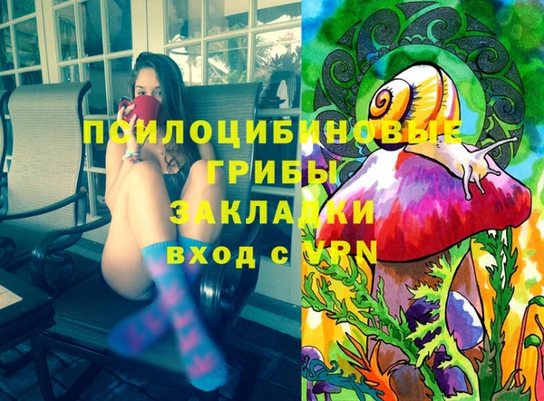 дурь Верея
