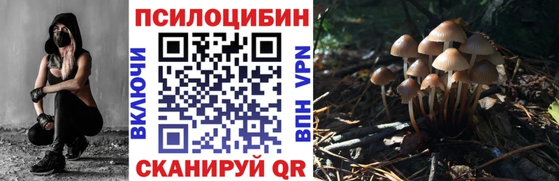 darknet Telegram  Нариманов  Галлюциногенные грибы Psilocybine cubensis 